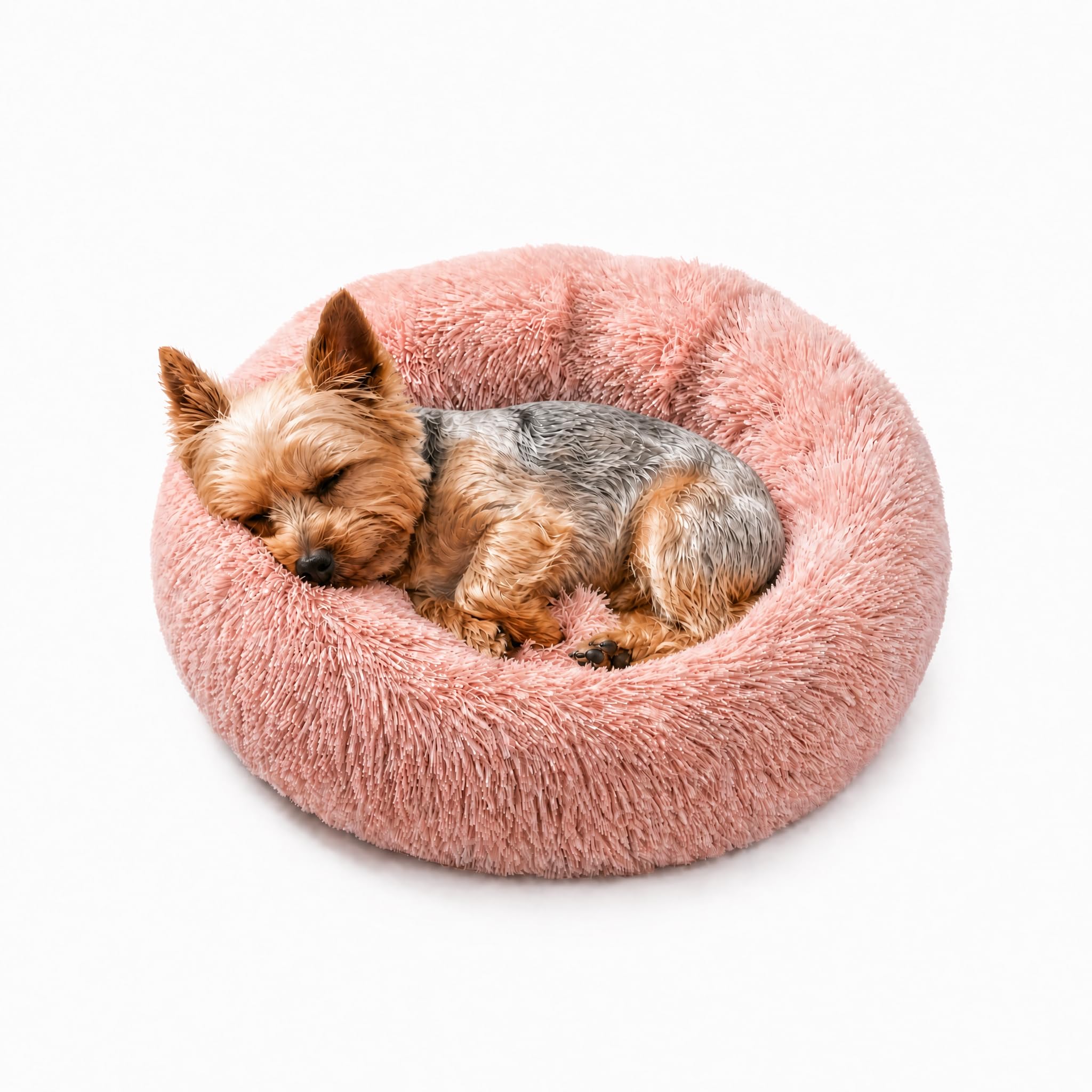 Amazon.com : Tiny Dog Bed 15 Inch for Extra Small Dogs,Washable