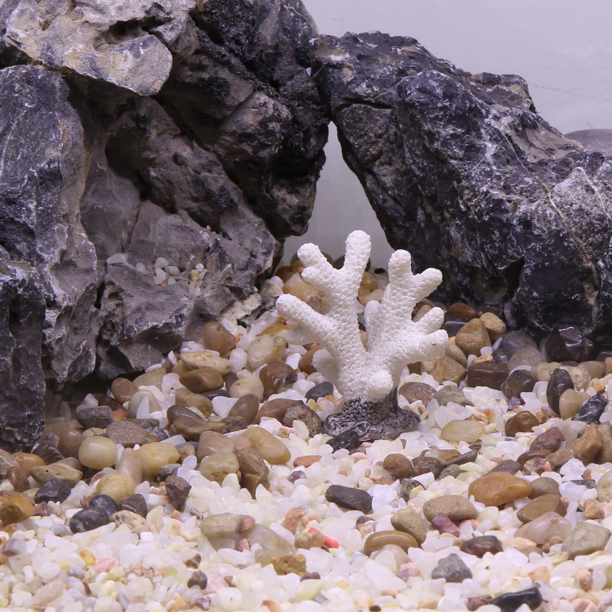 Amazon.co.jp: VOCOSTE サンゴ 人工珊瑚 水槽飾り アクアリウム 水族館