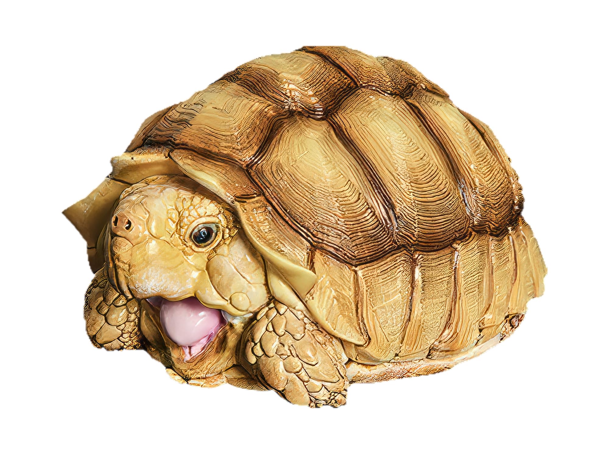 Amazon.com: IFiDEA Animal Heavenly Body Series 3 Turtle Chubby