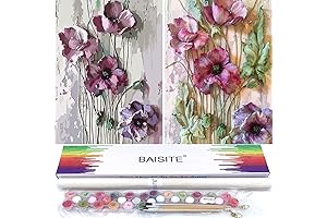 BAISITE Paint by Numbers Kit for Adults Beginners