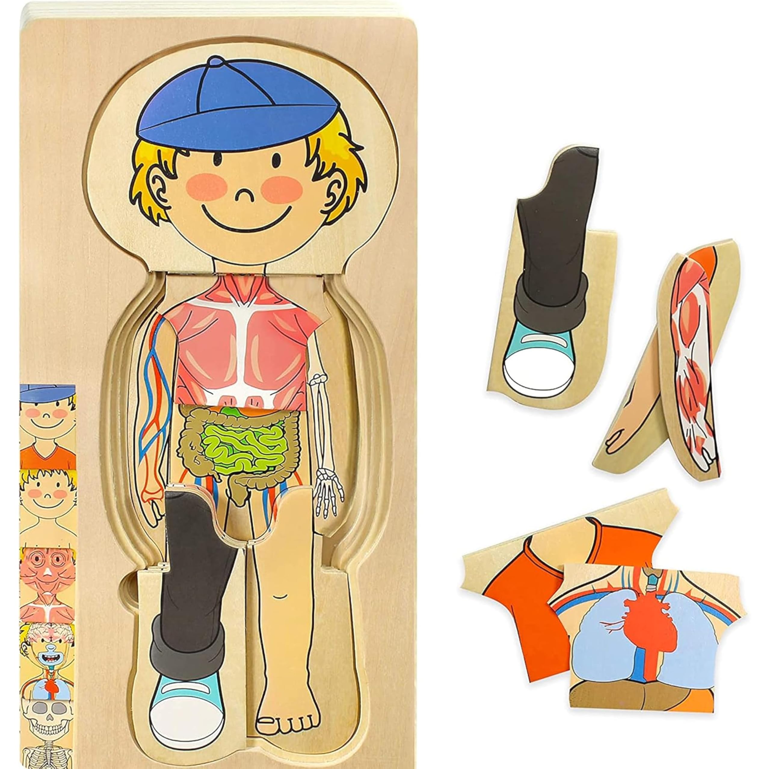 Kidzlane Boy Wooden My Body Puzzle for Toddlers & Kids - 29 Piece Boys Anatomy Puzzle Kid Play Set - Anatomy for Kids, Skeleton Toys for Children Ages 3 Plus