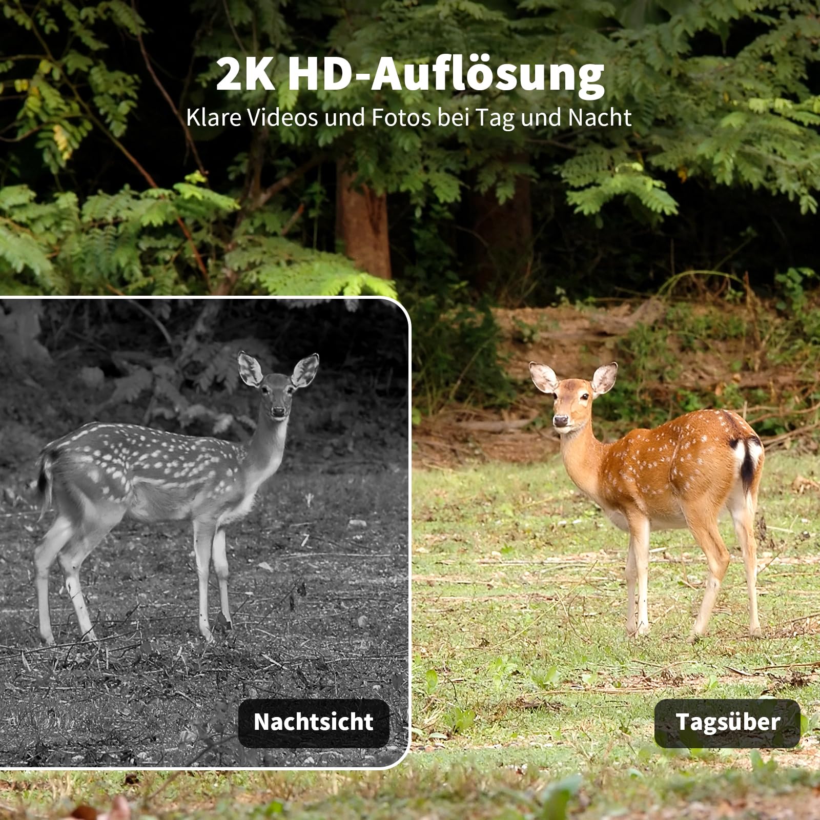 4G LTE Wildkamera mit SIM Karte, 2K Kabellos Solar Wildtierkamera mit Handyübertragung App, Überwachungskamera Aussen Akku mit Farbnachtsicht, PIR-Erkennung, 2-Weg-Audio, IP66 Wasserdicht