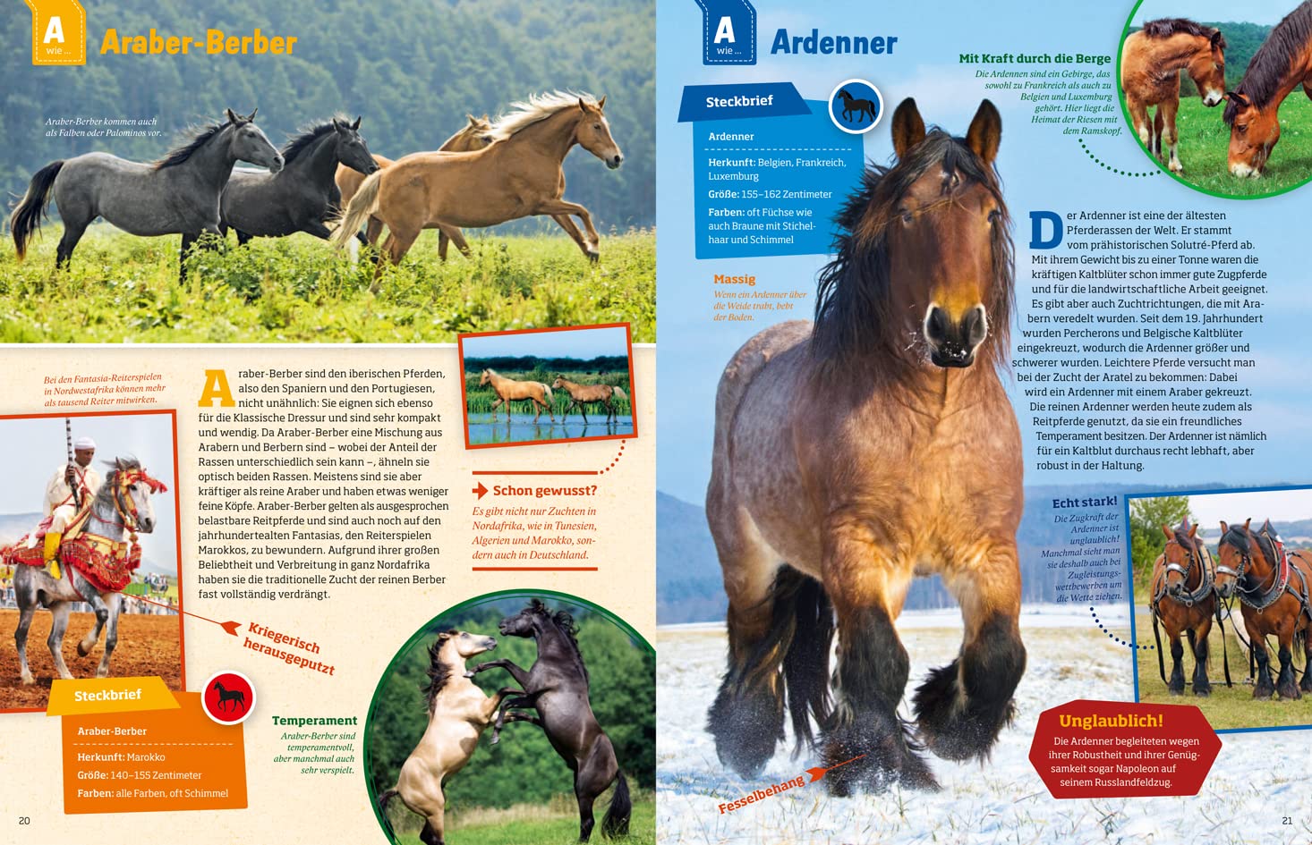 Was ist was: Pferde und Ponys: mehr als 100 Pferderassen und ihre Besonderheiten, über 650 Fotos!