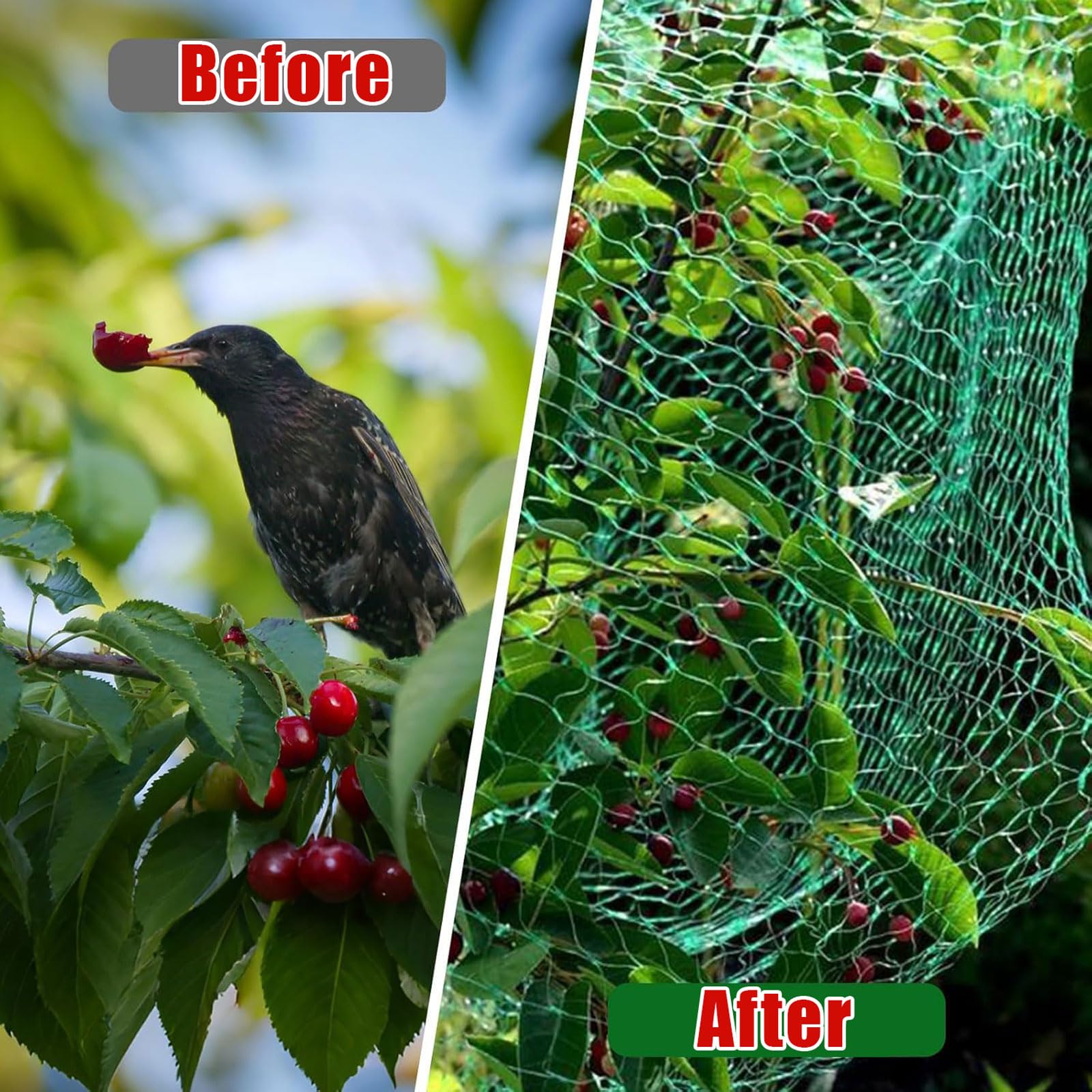 Rete Anti-Grandine Piante,Resistente allo Strappo Raggi UV Telo Antigrandine,Rete antigrandine da Giardino,Rete di Insetti per Verdure,Riutilizzabile,per Frutta,Piante,Anti-Uccelli