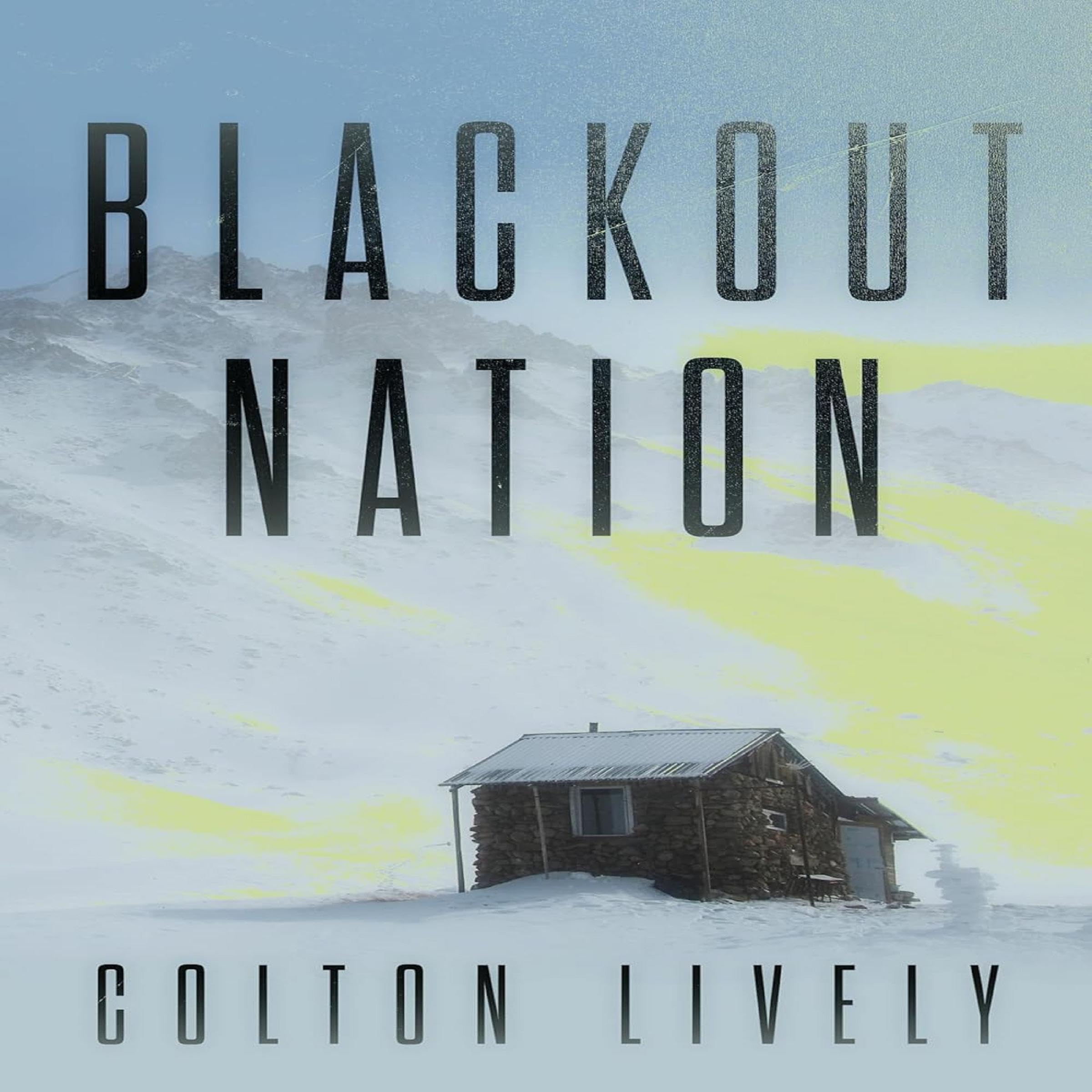 Cover art for Blackout Nation: An EMP Post Apocalypse Prepper Survival Thriller (EMP Survival in a Powerless World, Book 108)