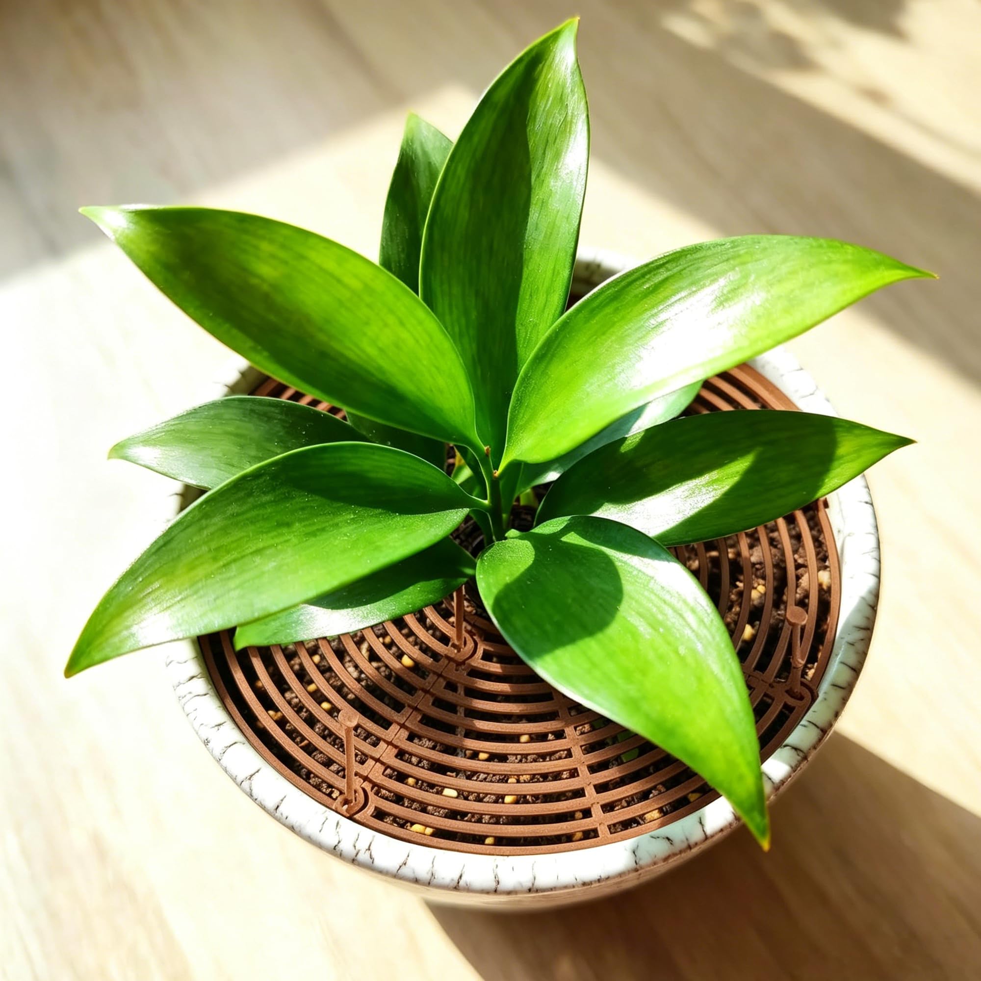 4 Piezas protección Planta Gato, 30 cm Rejilla protección de la Planta, Rejilla de Fondo de Maceta Ajustable, Adecuada para la protección de Las Plantas
