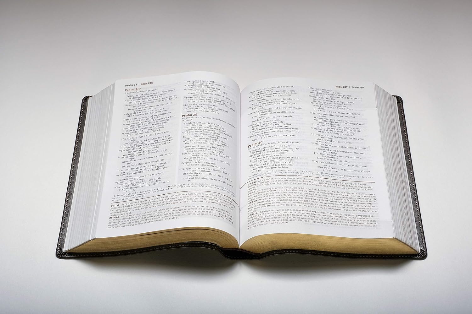 Every Mans Bible: New Living Translation, Large Print, TuTone (LeatherLike, Brown/Tan) – Study Bible for Men with Study Notes, Book Introductions, and 44 Charts Imitation Leather – Large Print, May 1, 2015 Every Mans Bible: New Living Translation, Large Print, TuTone (LeatherLike, Brown/Tan) – Study Bible for Men with Study Notes, Book Introductions, and 44 Charts Imitation Leather – Large Print, May 1, 2015