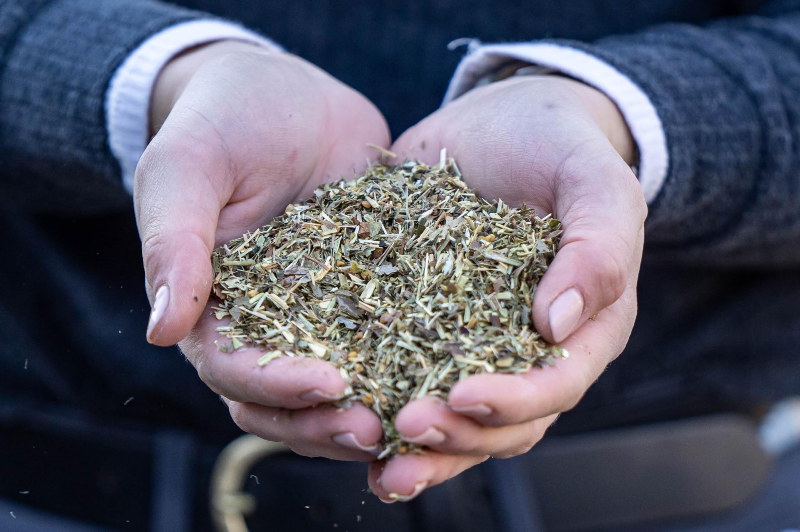 Stiefel Herbes Nerve 1kg | Équitation