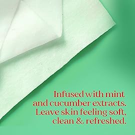 Burt\'s Bees Stocking Stuffers, Cucumber & Mint Face Wipes, for All Skin Types, Refreshing Makeup Remover & Facial Cleansing Towelettes, Skin Care Christmas Gifts, 30 Ct. (3-Pack)