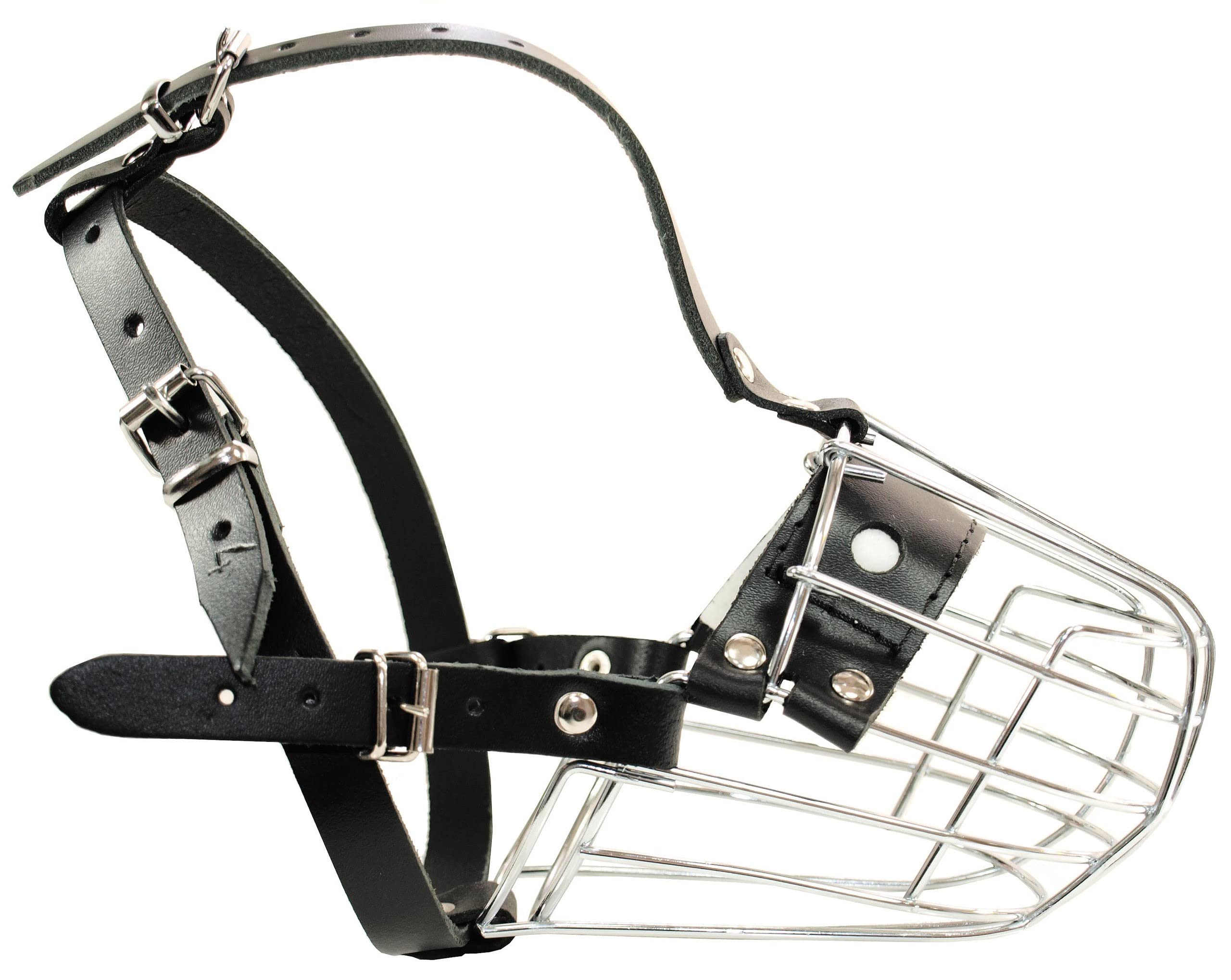 Bozal de métal y Cuero 4" Spaniel Grande Dino