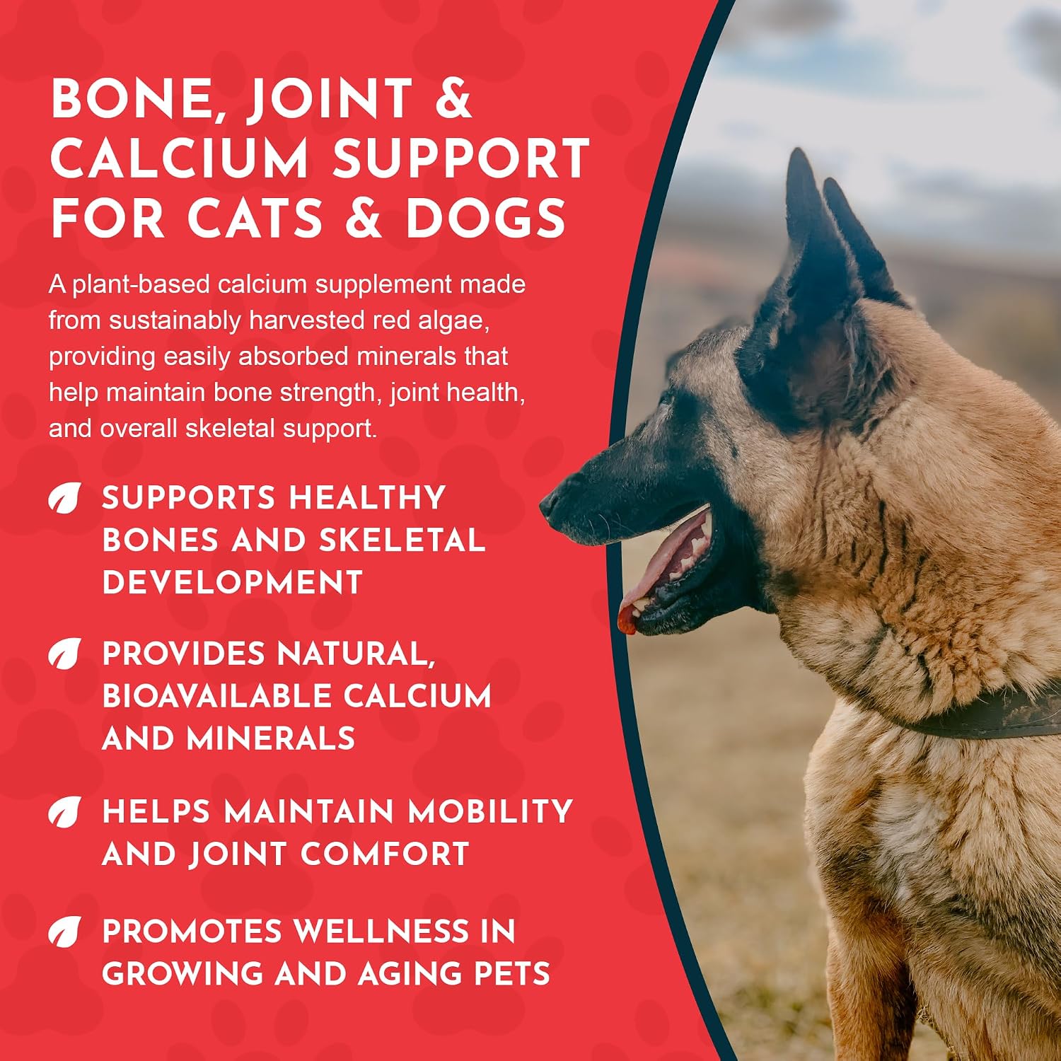 Sea-Cal Seaweed Calcium Powder for Dogs & Cats Joint & Bone Health Vegan - 12 oz