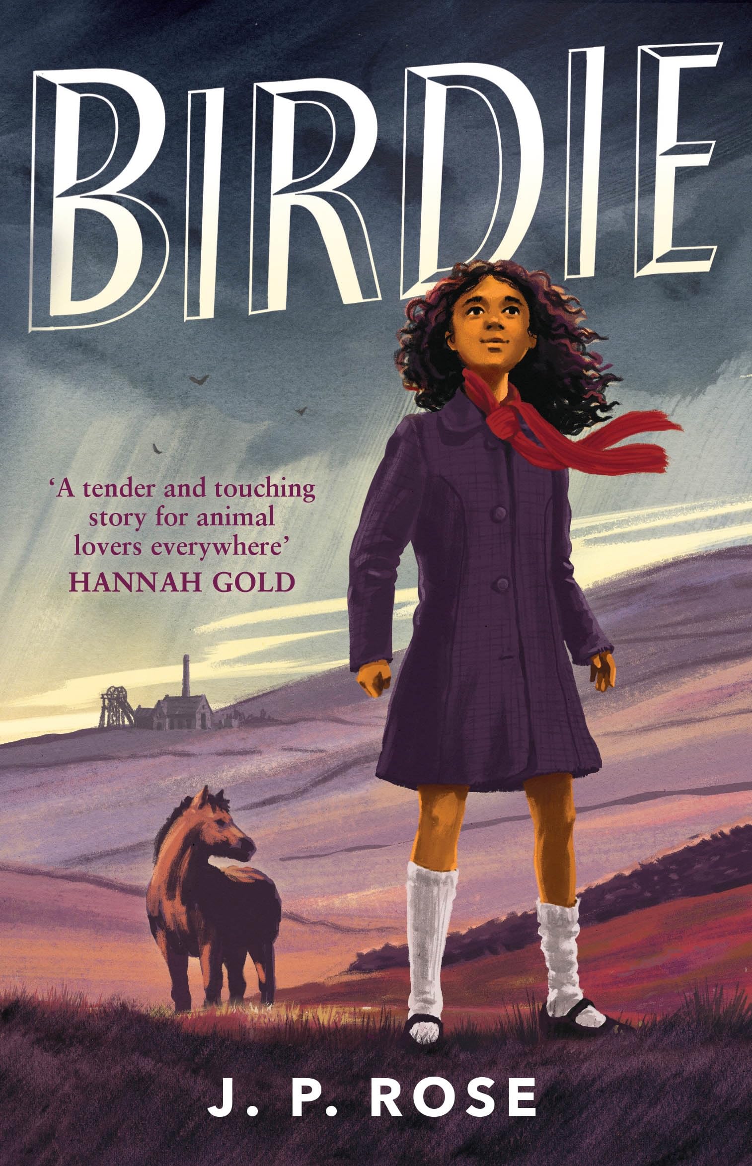 Birdie by J P Rose PAPERBACK 9781839132414