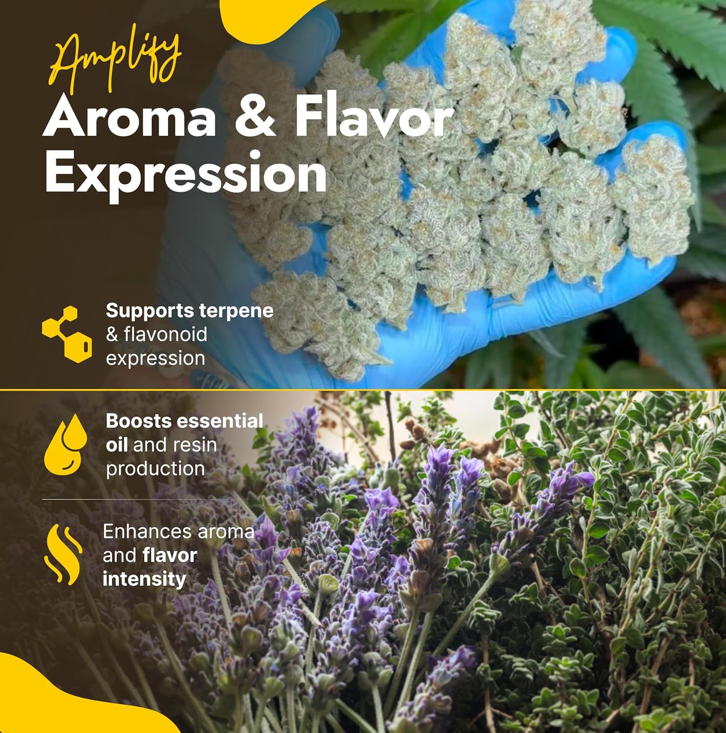 OMRI Listed Organic Concentrated Fish Poop - Liquid Fertilizer & Indoor Plant Food for Vegetable Gardens, Houseplants, Seedlings, Aquaponics & Soil Amendment (16 Oz - Makes 16 Gallons)