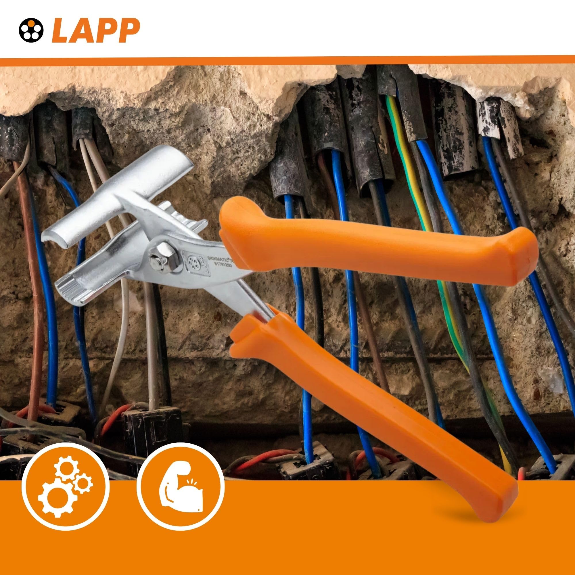 Zacisk montażowy LAPP 61791260 metal 1 szt