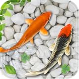 Fish Live Wallpaper: Koi Fish pond: Fish Aquarium Backgrounds