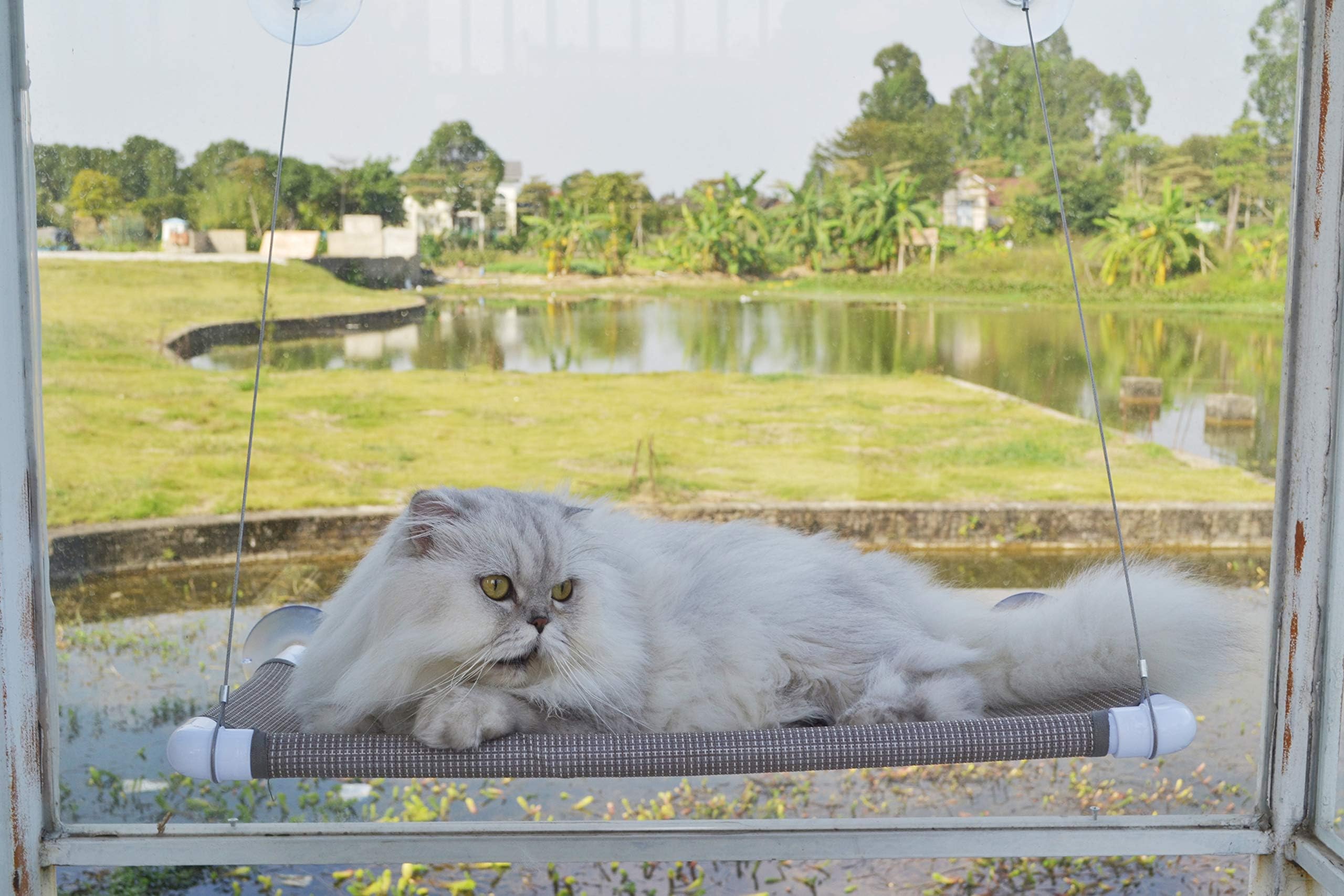 Cat Window Perch, Cat Bed Sunny Seat Safety and Space Saving Window Mounted Cat Hammock (Beige Original Set)