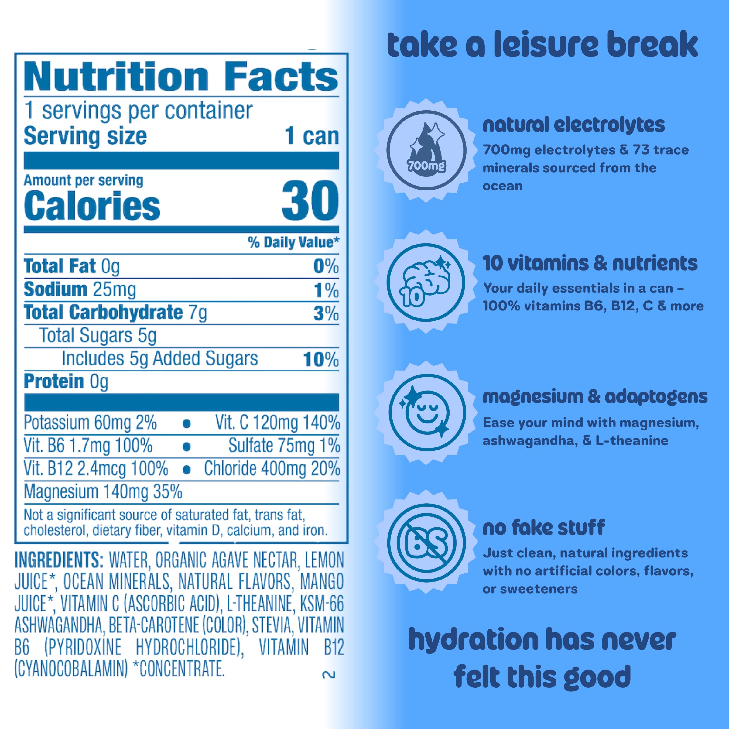 Leisure Hydration Non-Carbonated Electrolyte Refresher, Wild Blueberry Flavor - Low Sugar Nutrient Enhanced Water Beverage - Get The Best Hydration Packed w/ Magnesium & Ashwagandha For Mood & Stress Support, Non-GMO, 16 oz (12-Cans)