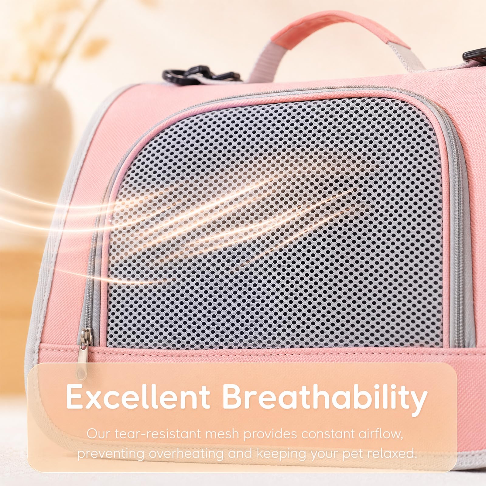 View 4
