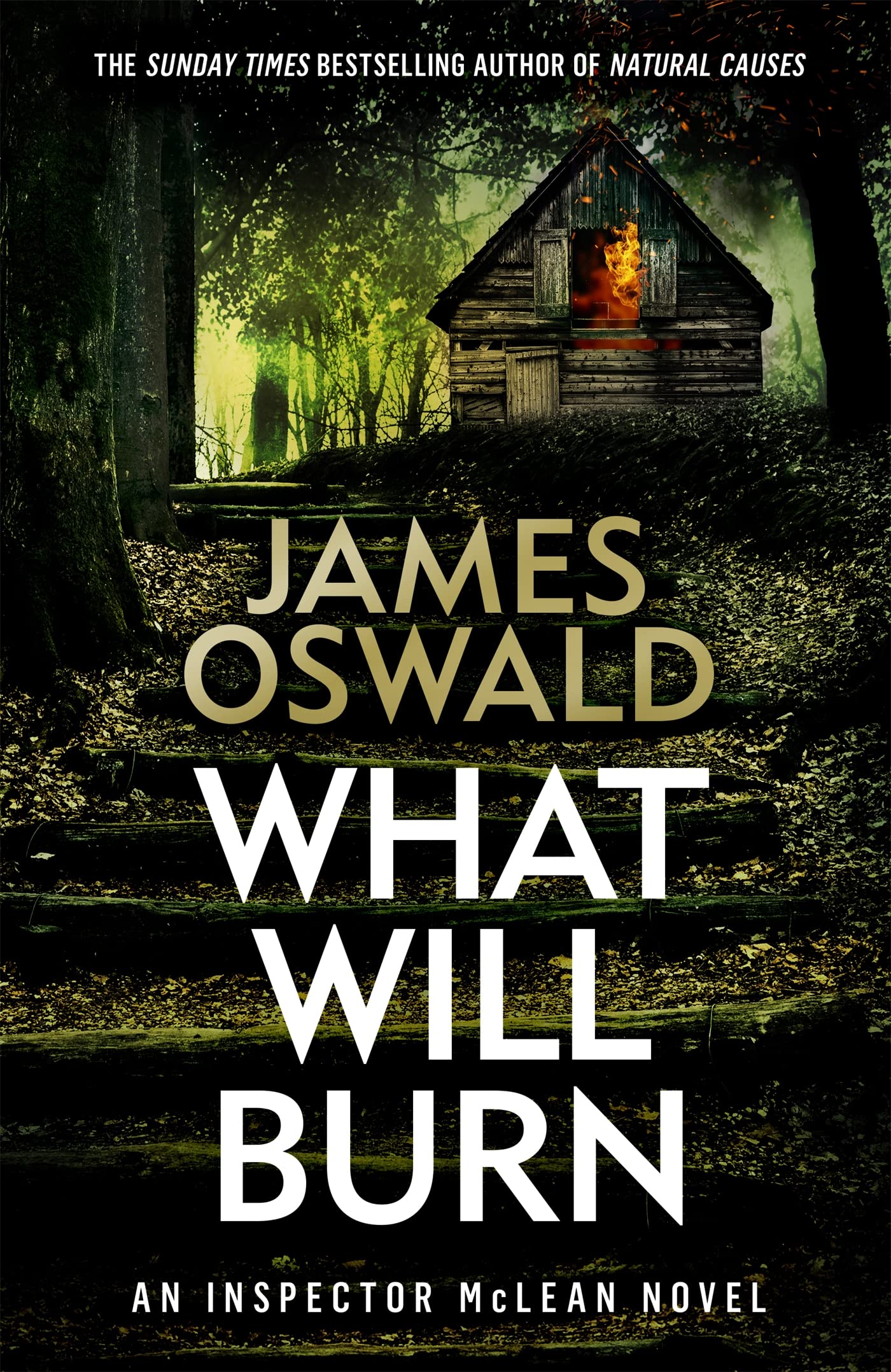 What Will Burn (The Inspector McLean Series) By James Oswald