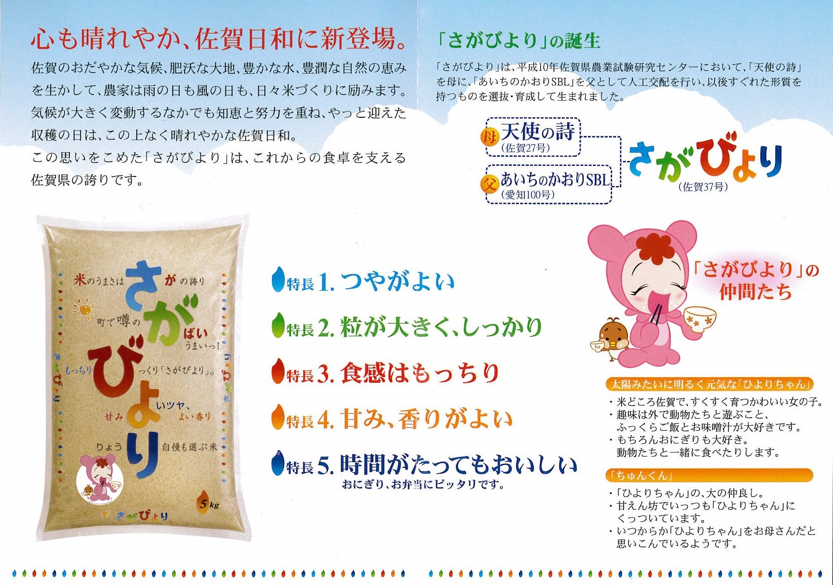 Amazon.co.jp: 【玄米】佐賀県産 さがびより 玄米 令和7年産 10kg (5kg