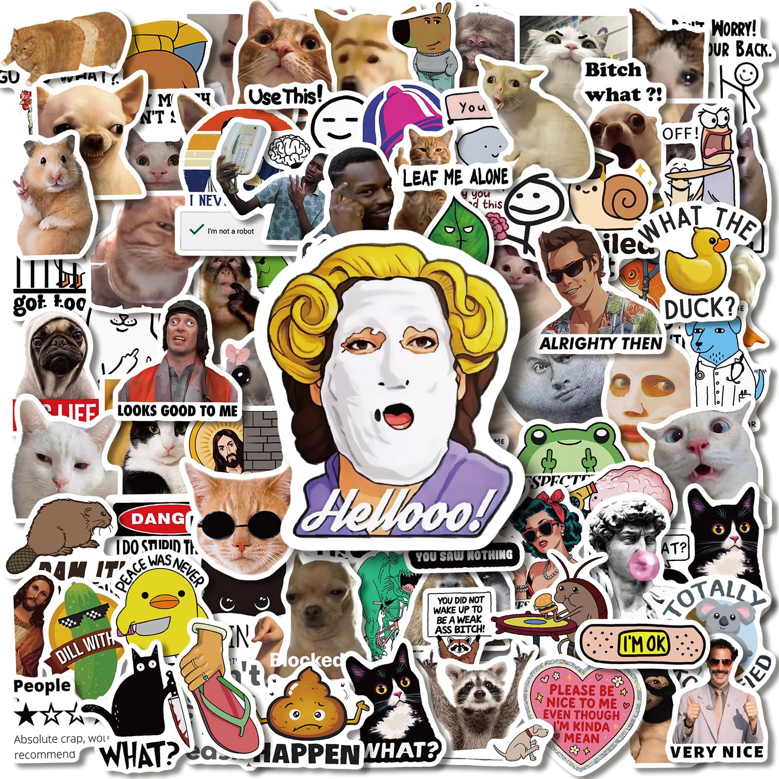 Funny Meme Sticker Pack, 110 Pcs, Hilariously Funny Waterproof Vinyl Decals for Laptops, Water Bottles, Hard Hats, Teens Adults DIY Scrapbooking