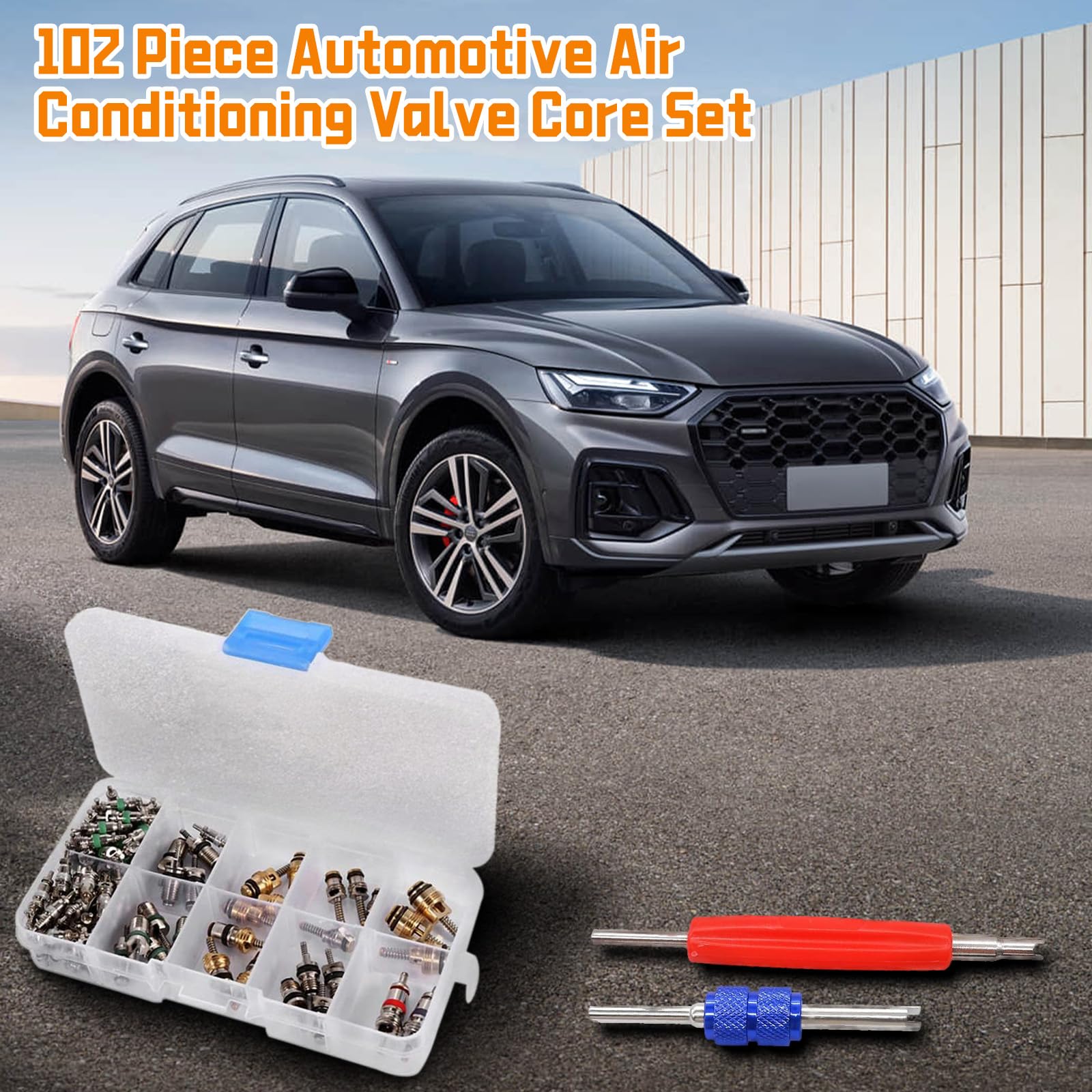 100 Pièces Valve Pneu R134A A/C avec 2 Dissolvant Double Tête, 1 Boîte Rangement, Kit Outils Noyaux Valve Clim Réfrigération Voiture pour Vélo, Moto, Climatisation Réparer Remplacement et Entretien