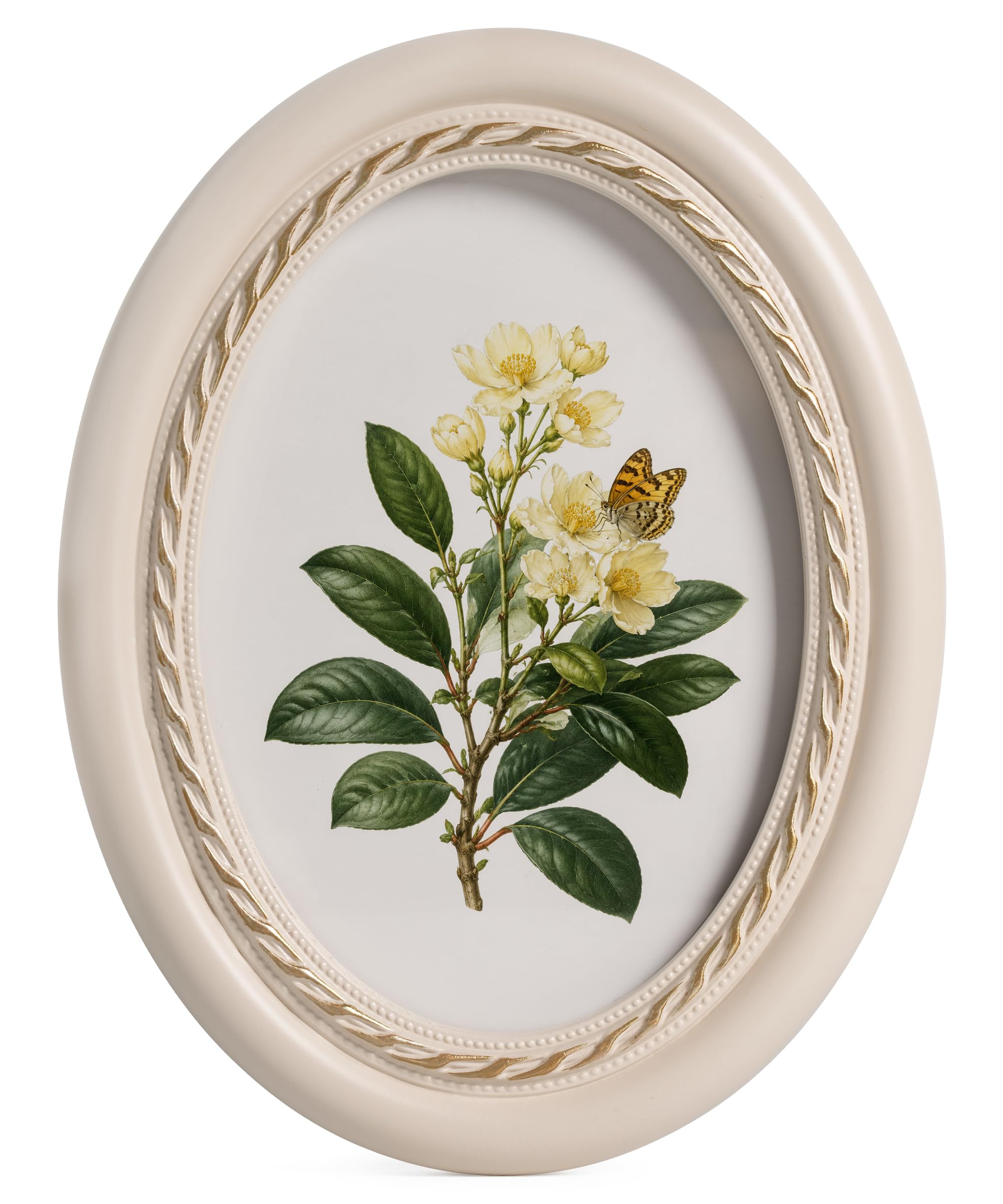 Afuly 7x5 Photo Frame Vintage White Oval Wooden Rustic 5x7 Picture Frames