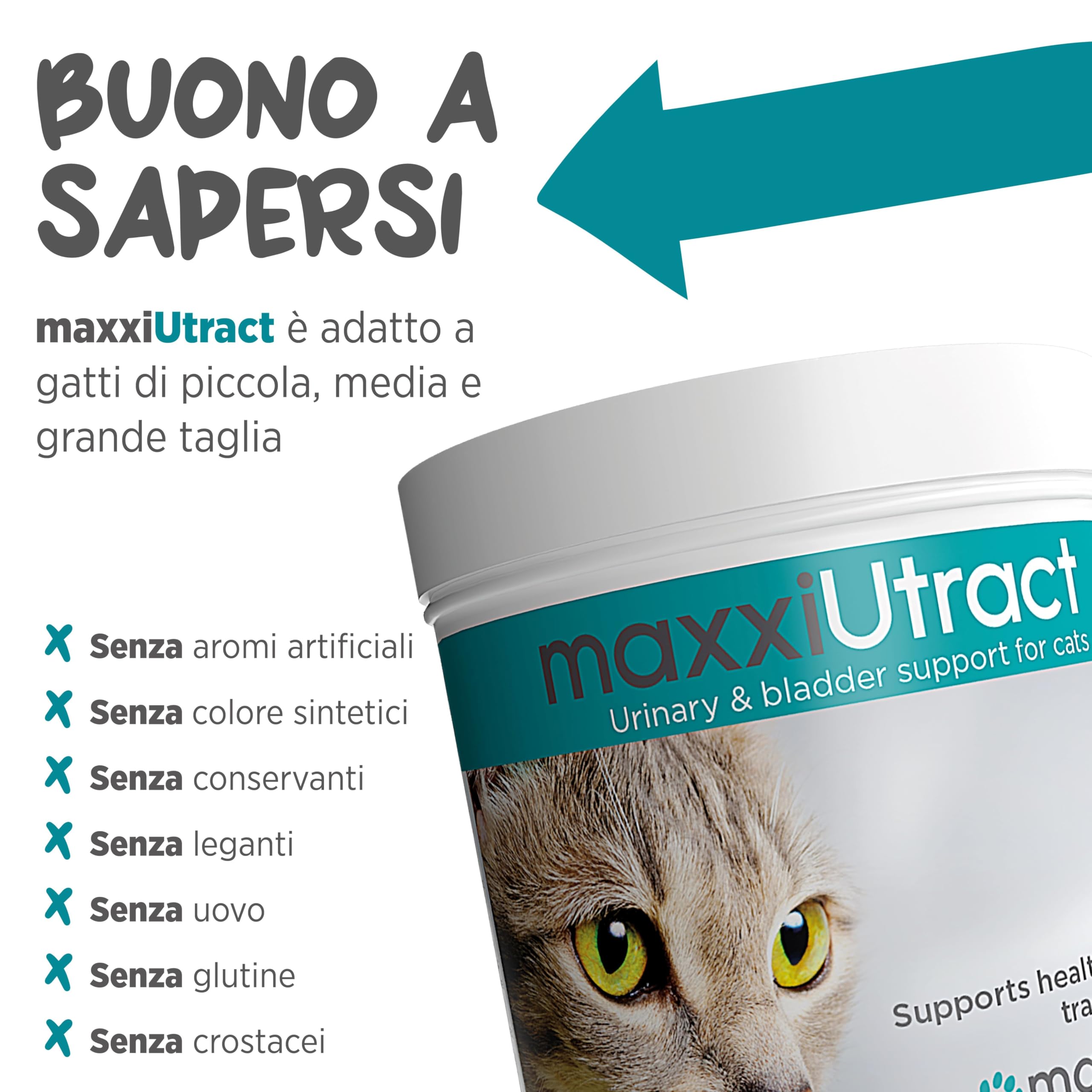 maxxipaws maxxiUtract Benessere Urinario e della Vescica - Integratore in Polvere per Gatti, 90g