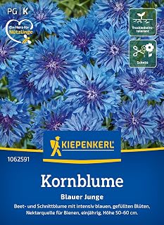 Kiepenkerl Kornblumensamen "Blauer Junge" 1062591, Blumensaat
