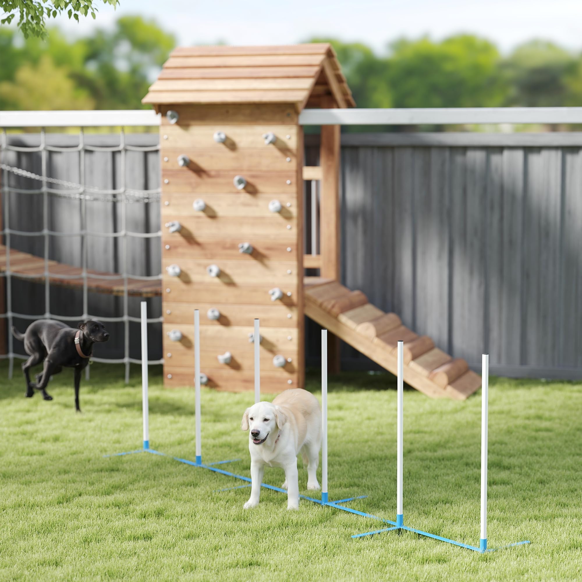 PawHut Adjustable Dog Agility Training Obstacle Course Set with Weaves Poles Storage Bag for Pet Dogs Outdoor Games Exercise - image 8