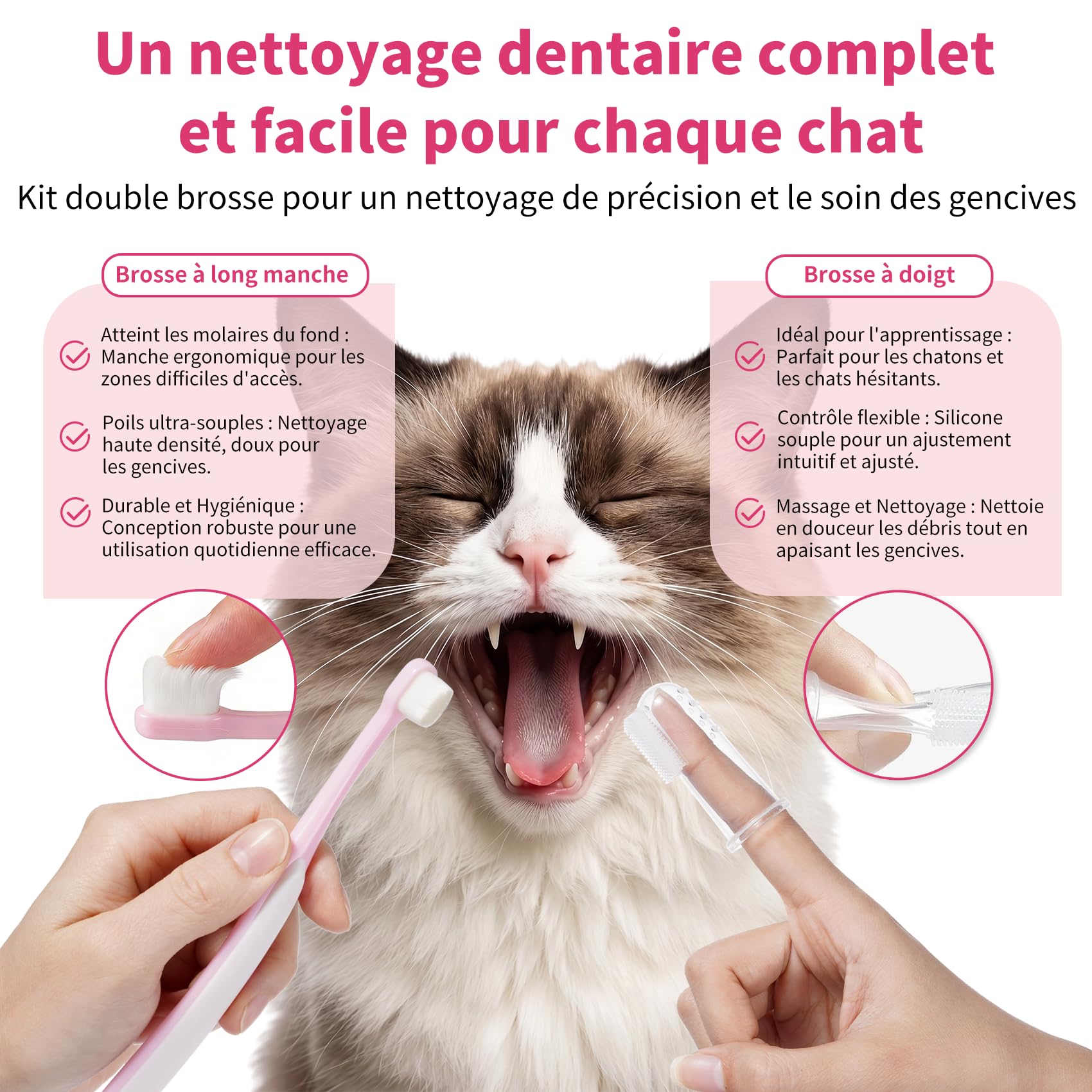 Dentifrice Enzymatique pour Chats - Kit Dentaire avec Brosse, Gel sans Parfum Contre la Plaque et Mauvaise Haleine, Prévient Le Tartre - 30g