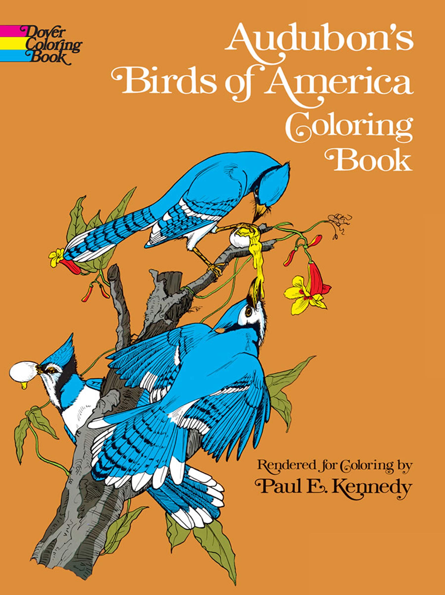 Audubon's Birds of America Coloring Book (Dover Nature Coloring Book)