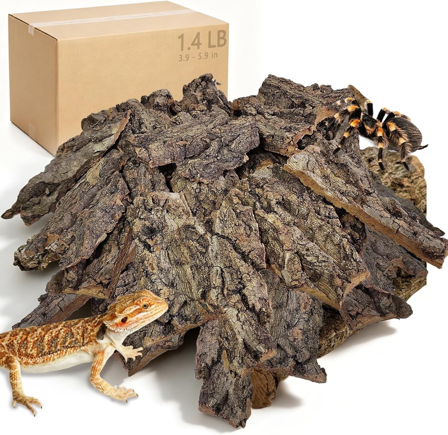 BNOSDM Reptile Cork Bark Bedding,1.4 LB Natural Cork Bark for Reptiles Terrarium Substrate,Reptile Champagne Wood Barks Tank Habitat Decor for Lizard,Geckos,Bearded Dragons,Hermit Crabs (M)