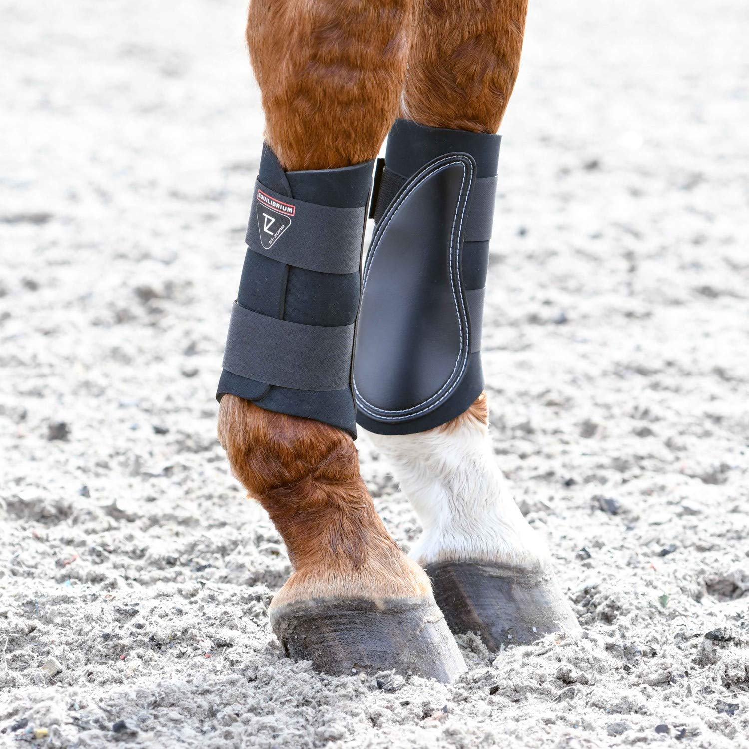 Equilibrium Tri-Zone Brushing Boot X Large Black