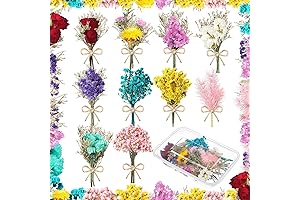 Mini Gypsophila Bouquets: Nature's Tiny Treasures for Your Car and More