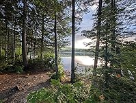 Review Image by das goot