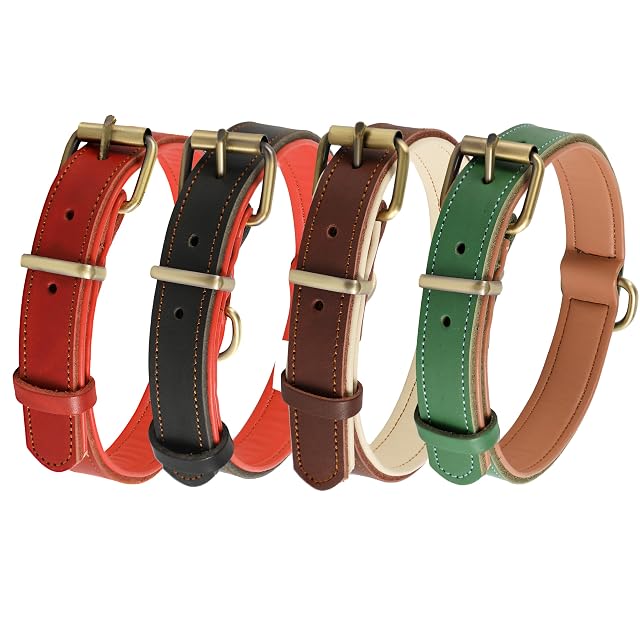 Foto 6 de 7 de Collar de Cuero Genuino para Perro, Varios tamaños y Colores, Resistente, cómodo