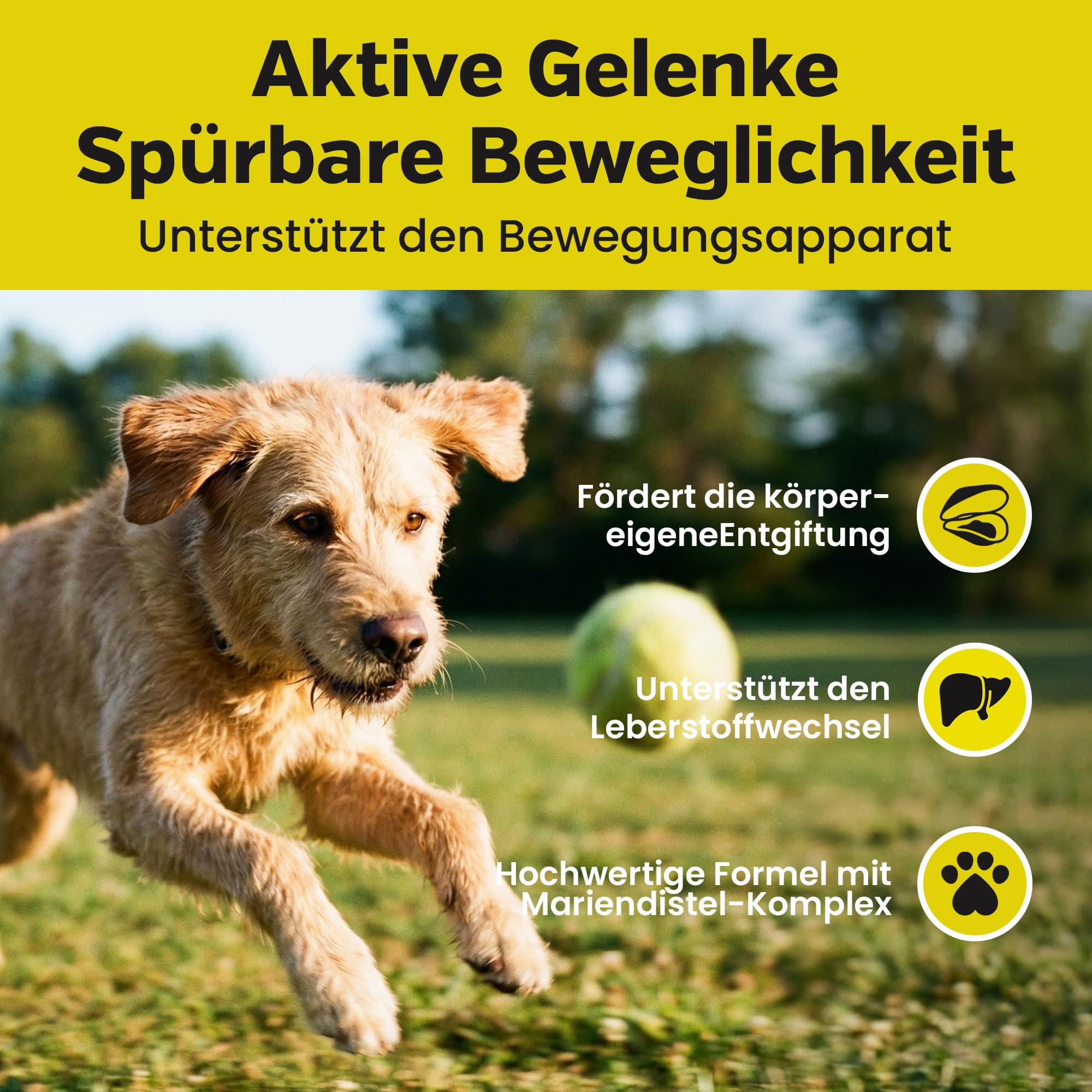 Alfavet HepatoSan 1600 - suplemento alimenticio para Perros - Ayuda al metabolismo hepático - 120 tabletas de 1600mg