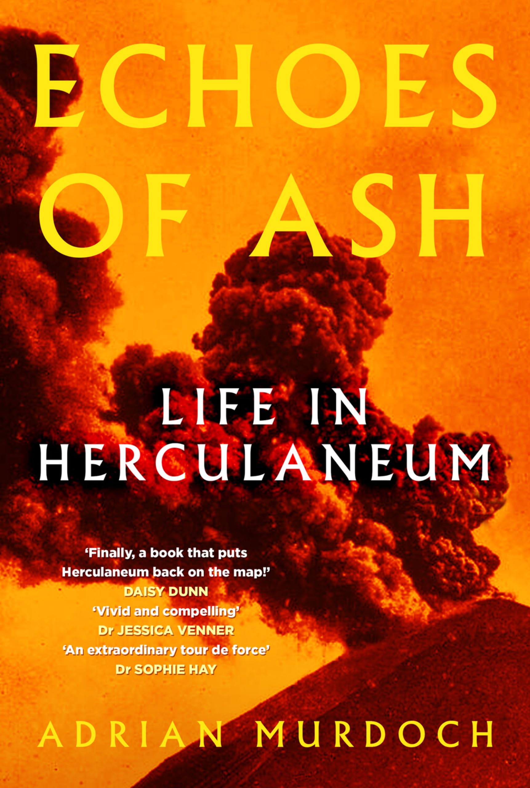Echoes of Ash : Life in Herculaneum