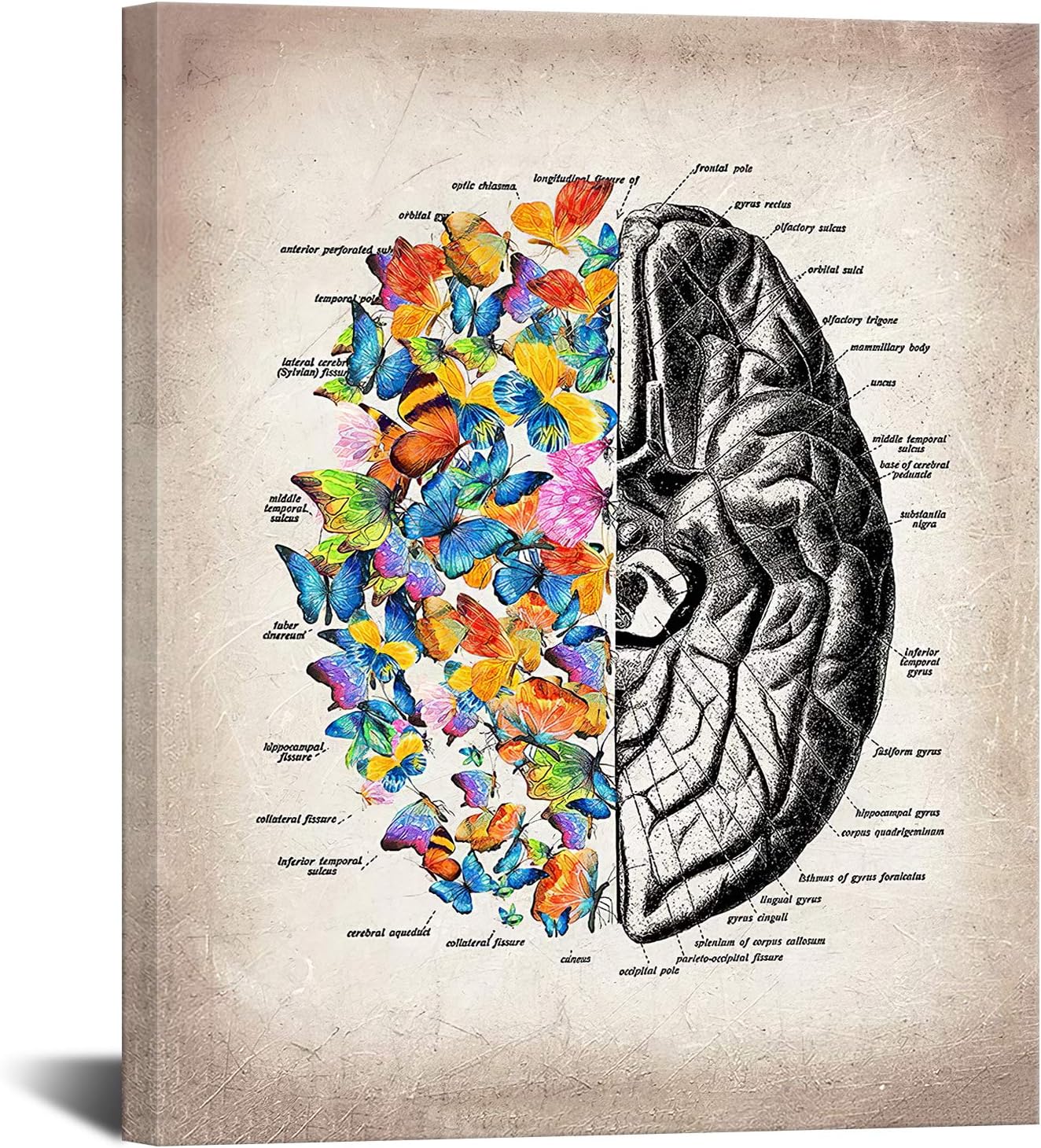 Porno külotsiz yuradi