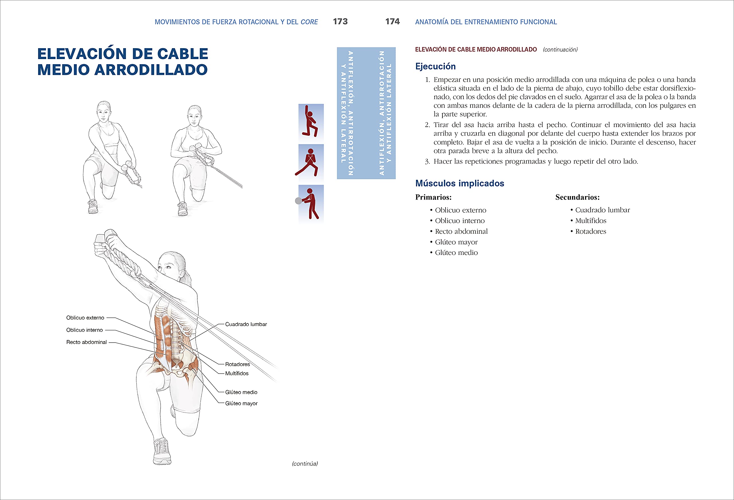 Anatomía del entrenamiento funcional