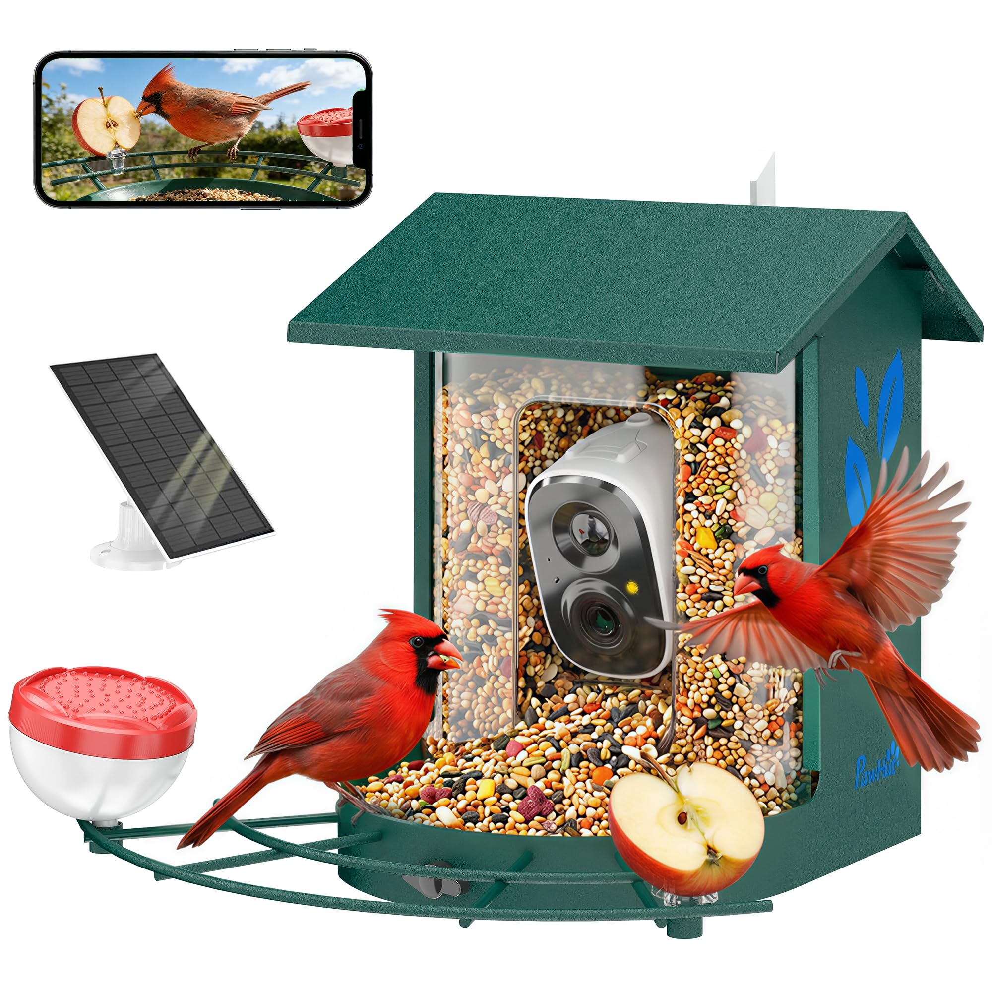 PawHut Comedero para pájaros con cámara inteligente 2K 142° - carcasa de acero antiardillas, panel solar - comedero para pájaros exterior, identificación IA 16000+, aplicación, SD 32 GB, jardín, verde | Anti-ardilla, Panel Solar, Comedero Aves Exterior, I