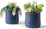 Plantes à succulent artificiel en pots de céramique, Faux Succculents assortis Faux Cactus Plantes pour la décoration maison, Chambre, Bureau, Salon, Ensemble de 3