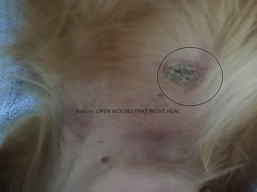 Miniatura 5 de Nutra Health Pampered Pets Crema MSM para la piel y las articulaciones en tarro de 4 onzas (4.1 fl oz)