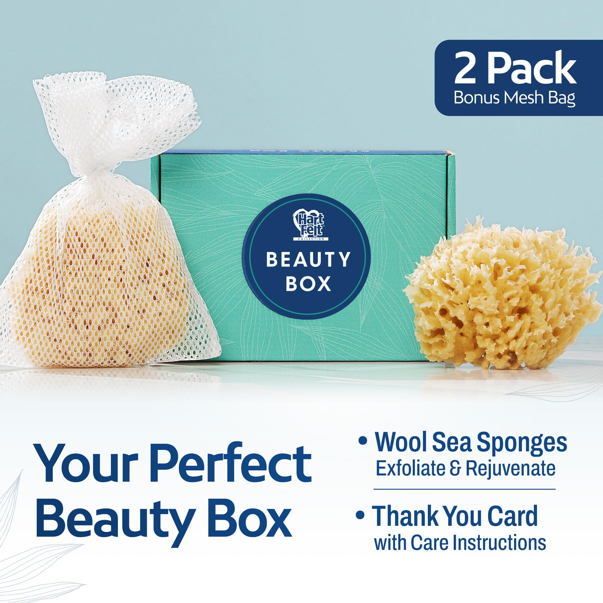 HartFelt Caja de belleza de esponja de mar para piel delicada | 2 esponjas de mar de lana de 4 pulgadas | Bolsa de malla para limpieza y secado | Caja de regalo