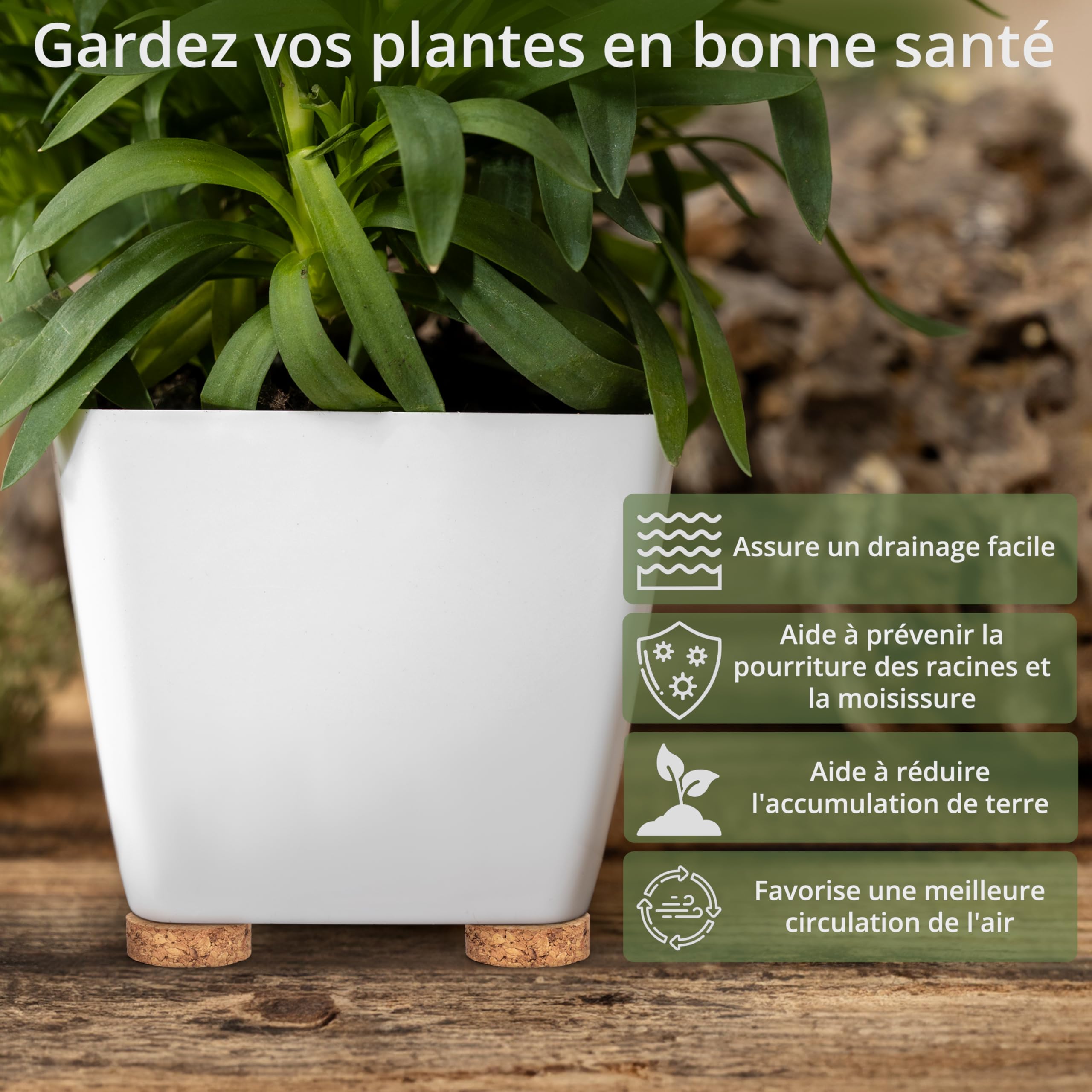 Winter Shore Dessous de Pot de Fleur en Liège Invisibles (Lot de 60) - 5 x 1,5 cm Cale Pot de Fleur - Antidérapants - Jardinières, Terrasse, Jardin, Patio, Carrelage, Sol en Pierre, Intérieur
