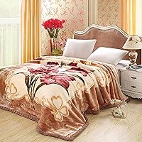 Vista 12 de Manta de Visón Coreana de Invierno de Felpa Suave, Manta de Forro Polar Raschel de Franela para Sofá y Sillón 60x80 Pulgadas Otoñal Suave y Cálida