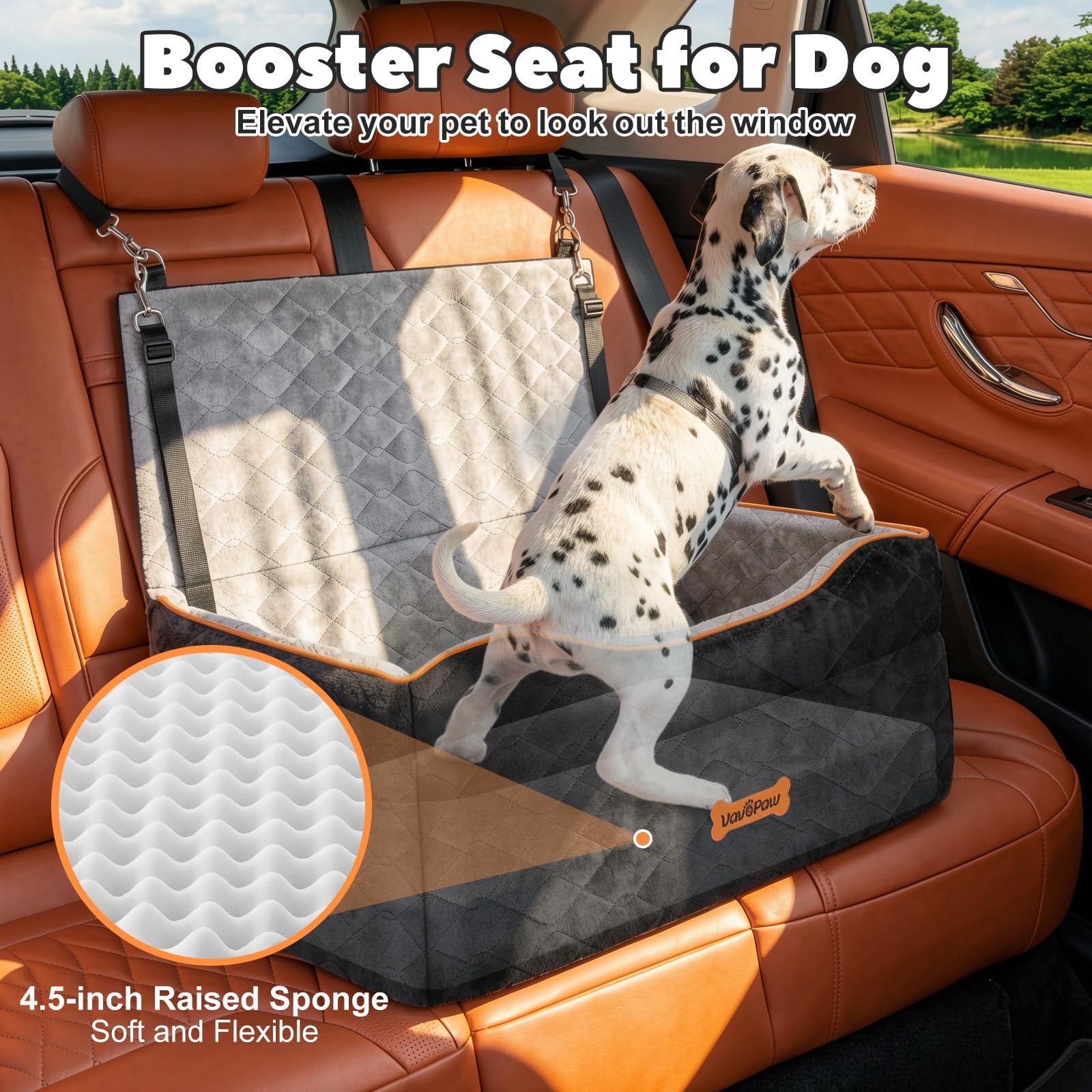 VavoPaw Hunde Autositze für mittlere/große, Hundesitz für Hunde unter 50Lbs | Hundesitzerhöhung für 2 kleine Hunde,2 Sicherheitsleinen, Hundesofa-Kissen mit Schaumstoff, Haustiere Transportbox