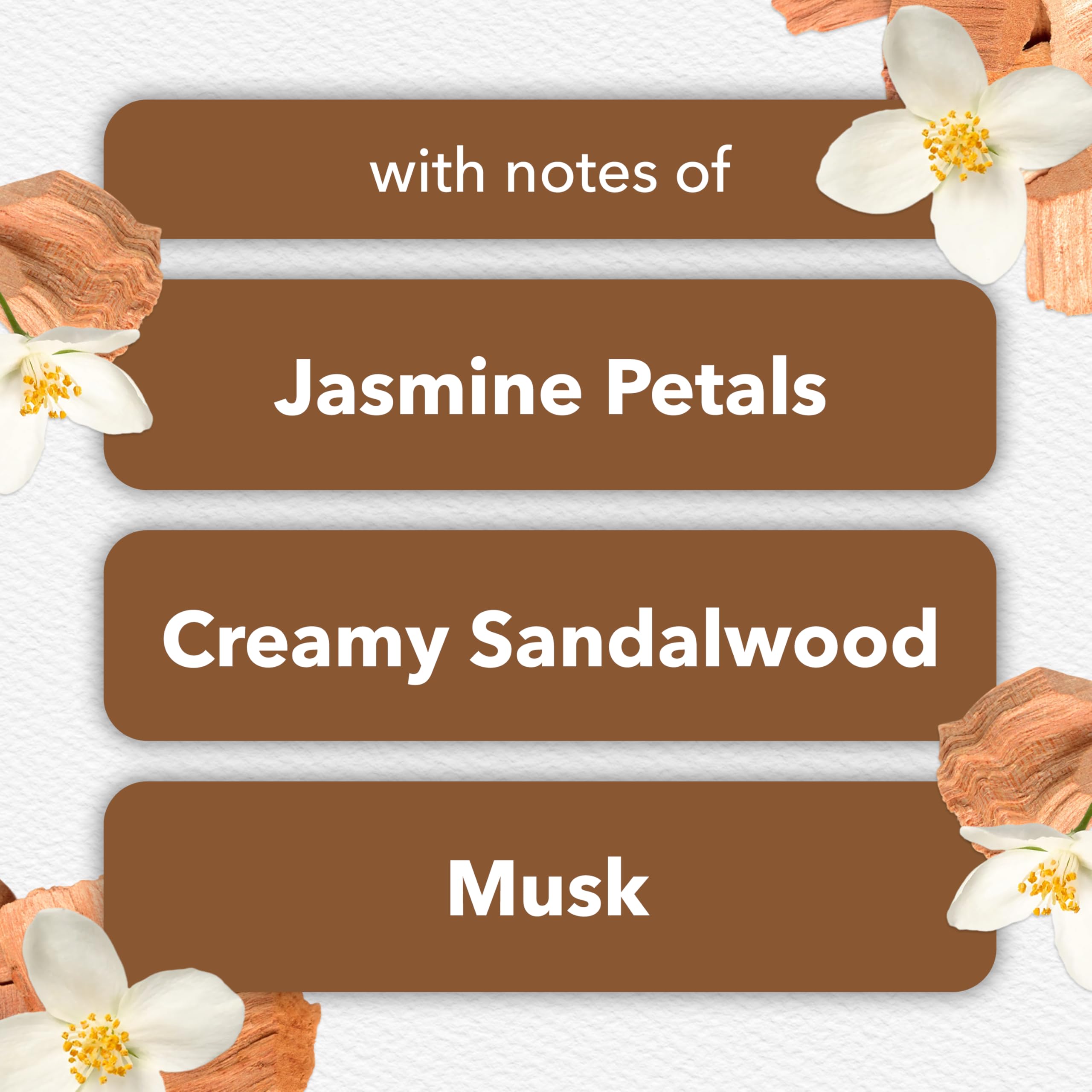 Cashmere Woods Air Freshener Refills, 10 Count D388304