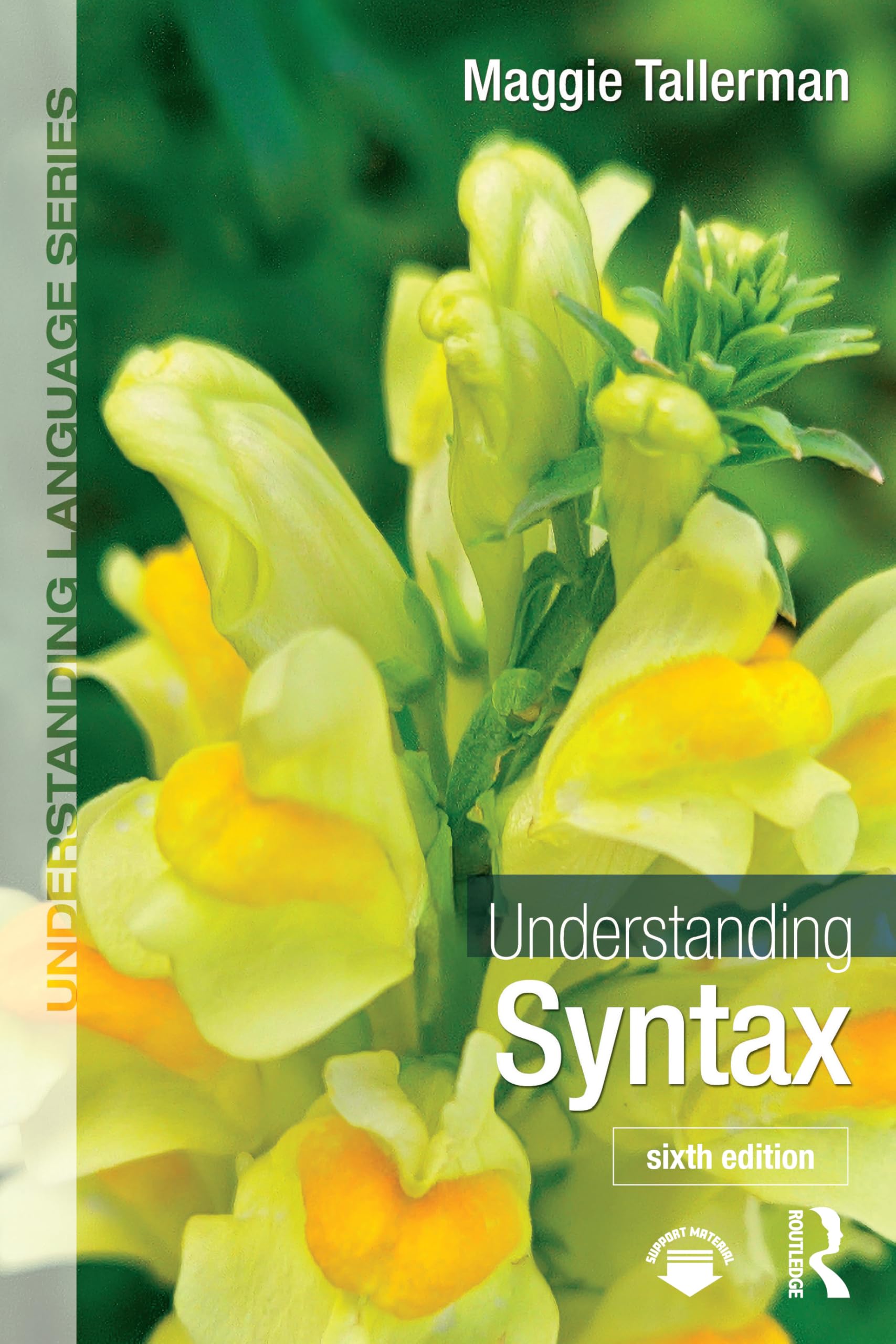 Understanding Syntax (Understanding Language)